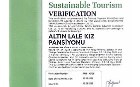 Altin Lale